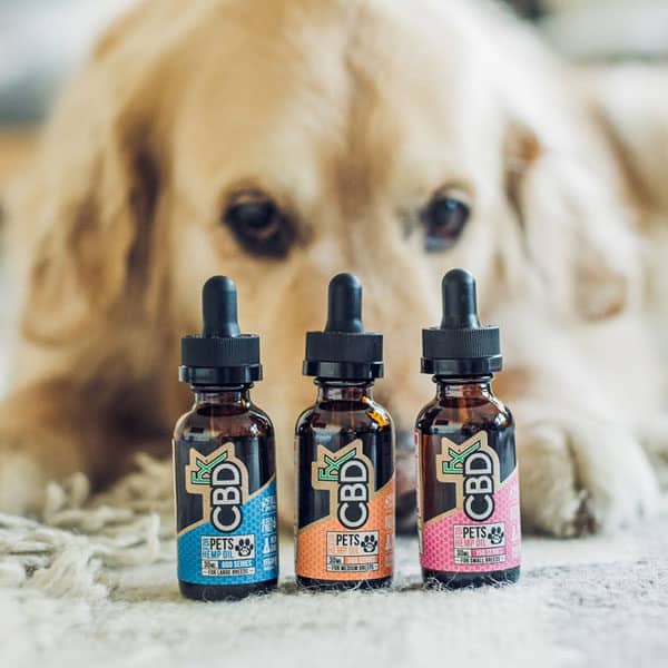 cbd for dogs